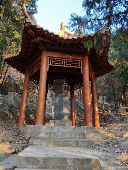 1768462224729039.jpg 3d6b8179496cc40de354b4e195329364_副本.jpg