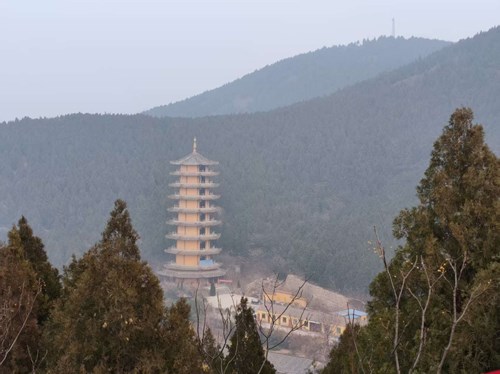 1768462251380438.jpg ef3929190f3235d4de7a8061b05503a6_副本.jpg