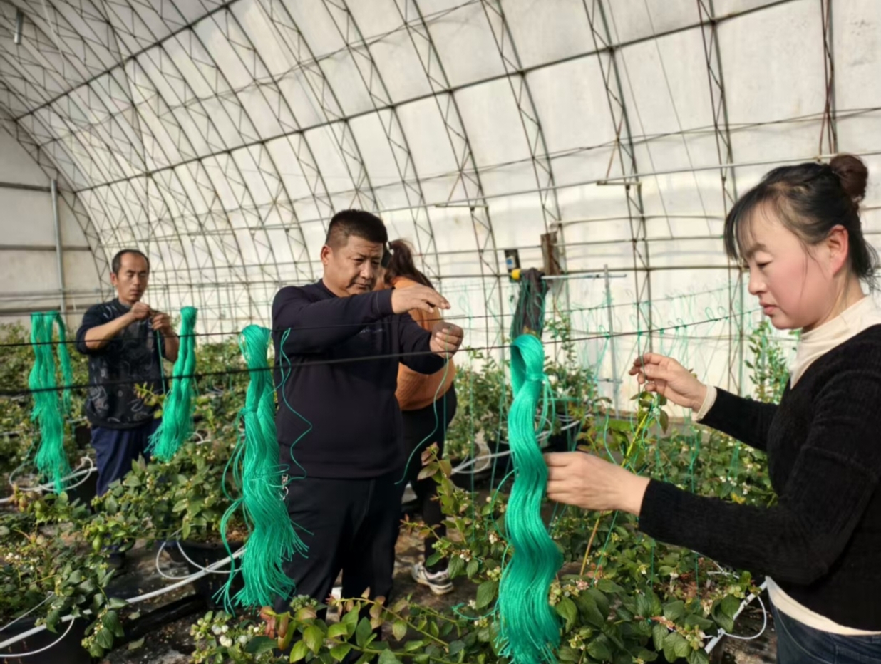 1768889144965843.jpg IMG_20260120_140510.jpg