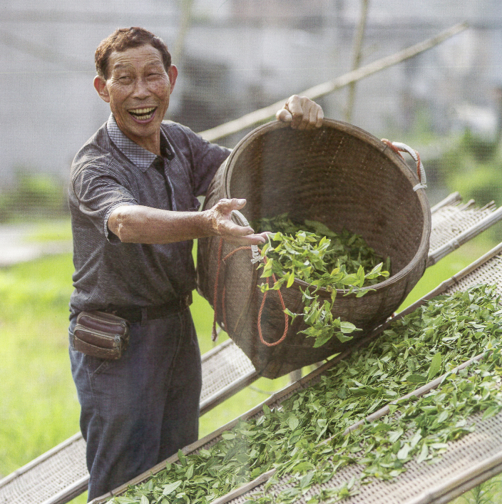 1768895251182549.png 鄭幫德.png