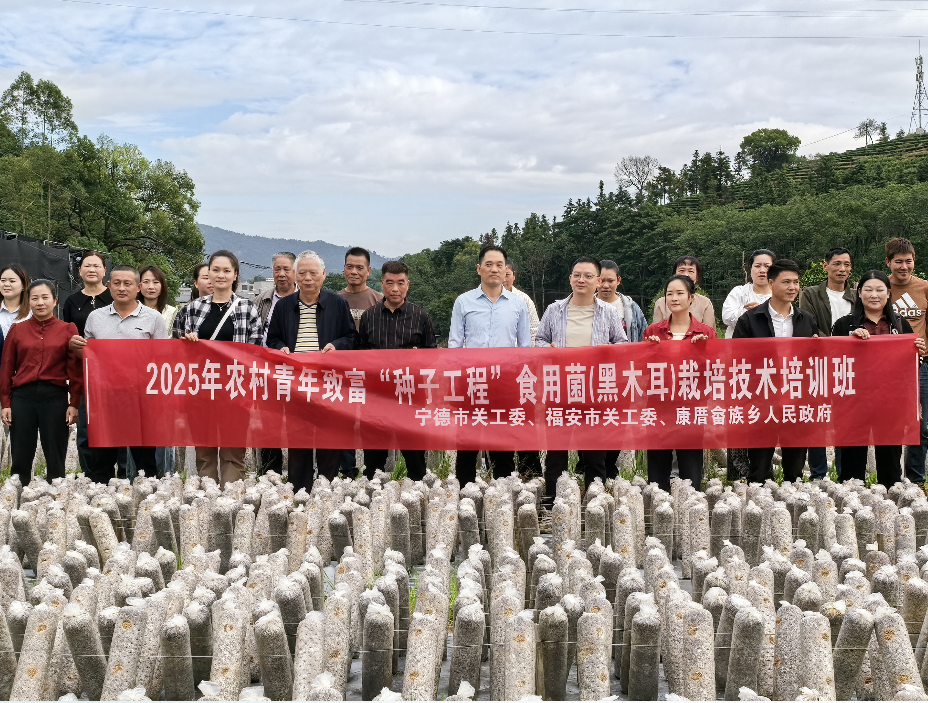 1768895954785130.png 種子工程2.png