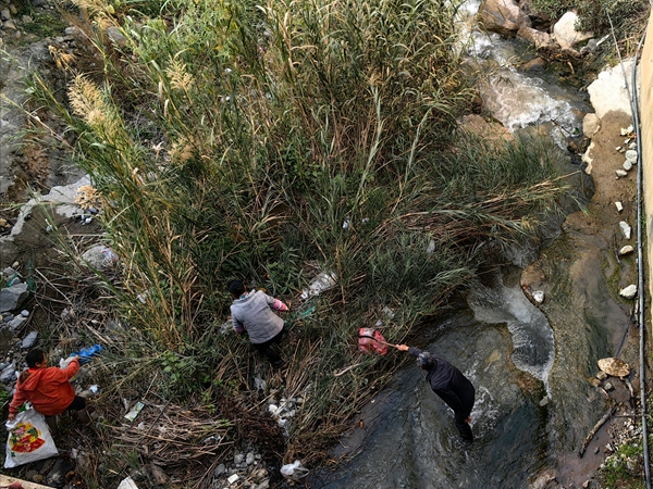 1769760124702593.jpg 清理現(xiàn)場(chǎng).jpg